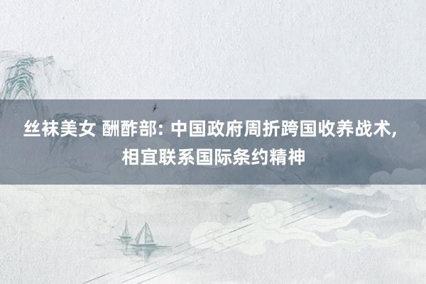 丝袜美女 酬酢部: 中国政府周折跨国收养战术， 相宜联系国际条约精神