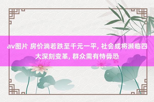av图片 房价淌若跌至千元一平， 社会或将濒临四大深刻变革， 群众需有恃毋恐