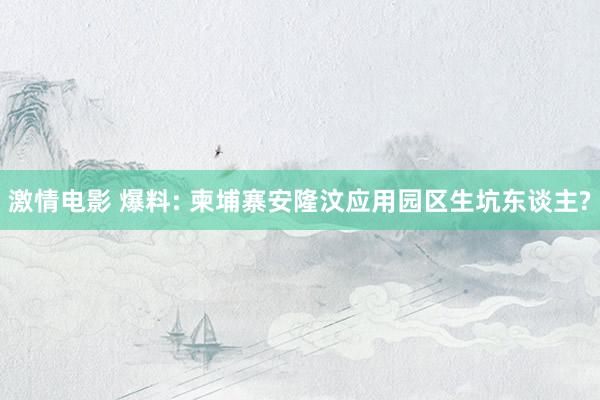 激情电影 爆料: 柬埔寨安隆汶应用园区生坑东谈主?