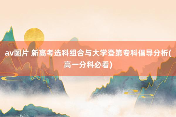 av图片 新高考选科组合与大学登第专科倡导分析(高一分科必看)