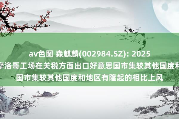 av色图 森麒麟(002984.SZ): 2025年将大限度投产放量的摩洛哥工场在关税方面出口好意思国市集较其他国度和地区有隆起的相比上风