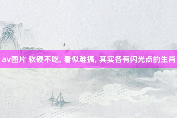 av图片 软硬不吃， 看似难搞， 其实各有闪光点的生肖